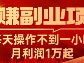 躺赚副业项目，每天操作不到一小时，月利润1万起，实战篇
