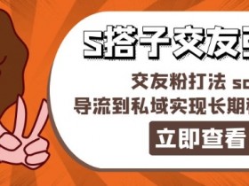某收费888-S搭子交友引流，交友粉打法 sop，导流到私域实现长期稳定盈利