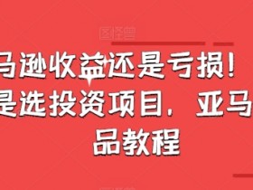 亚马逊收益还是亏损！选品就是选投资项目，亚马逊选品教程