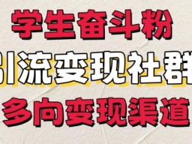 学生奋斗粉，引流变现做社群，多向变现渠道