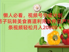 懒人必看，视频号分成计划，野路子玩转美食赛道利用软件，日产100条视频