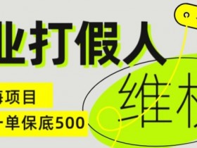 职业打假人电商维权揭秘，一单保底500，全新冷门暴利项目【仅揭秘】