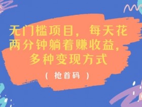 无门槛项目，每天花两分钟躺着收益，多种收益方式(抢首码)
