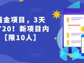 货币掘金项目，3天卖了2720！新项目内测组【限10人】