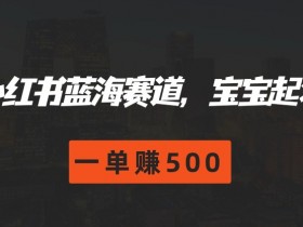 小红书蓝海赛道，宝宝起名，一单赚500