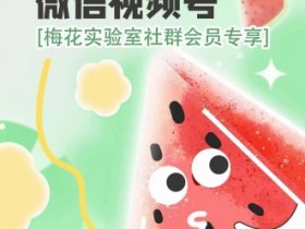 梅花实验室2024年AB技术视频号AB合成破解版