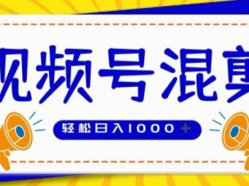 视频号娱乐混剪，单日收益最高上W，大力出奇迹， 执行即赚