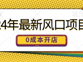 24年最新风口项目，0成本就可以开一家自己的线上商城