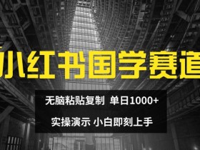 小红书国学赛道，无脑粘贴复制，单日1K，实操演示，小白即刻上手【揭秘】