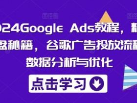 2024Google Ads教程，精准询盘秘籍，谷歌广告投放流程，数据分析与优化