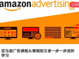 亚马逊广告课程，从青铜到王者一步一步进阶学习