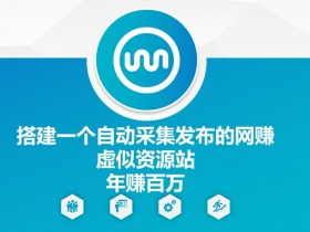 搭建一个自动采集发布的网创虚似资源站年赚百W【揭秘】