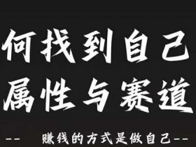 赛道和属性2.0：如何找到自己的属性与赛道，赚钱的方式是做自己
