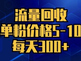 流量回收，单粉价格5-10，每天300+，轻松月入五位数