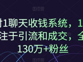 1对1聊天收钱系统，10年专注于引流和成交，全网130万+粉丝