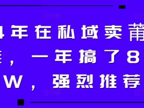 24年在私域卖莆田鞋，一年搞了89W，强烈推荐