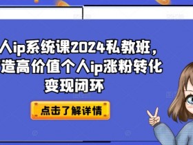 个人ip系统课2024私教班，打造高价值个人ip涨粉转化变现闭环