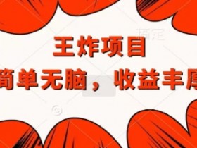 王炸福利项目，兼职全职都可做，操作无脑简单