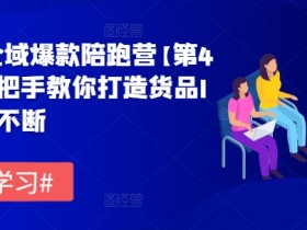 货品IP全域爆款陪跑营【第4期】，手把手教你打造货品IP，爆款不断