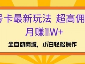 号卡最新玩法，高佣金当日出单，月赚1W+