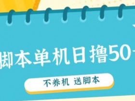 首码，0撸天花板不养机轻松日入100-500+ 送脚本
