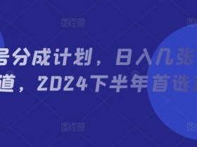 视频号分成计划，日入几张，热点赛道，2024下半年首选项目