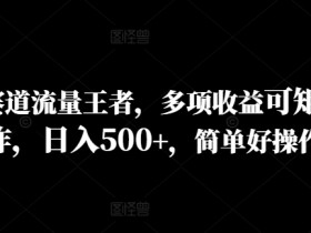 历史赛道流量王者，多项收益可矩阵操作，日入500+，简单好操作