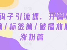2024钩子引流课，开篇/定位篇/标签篇/破播放篇/涨粉篇