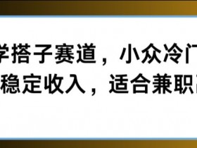 玄学搭子赛道，小众冷门，每天稳定收入，适合兼职副业