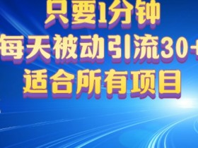 只要1分钟，不需要重复操作，每天被动引流30+(适合任何项目)