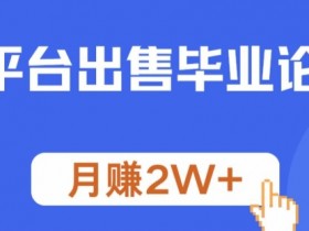 多平台出售毕业论文，月赚2W+