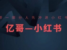 ​​带一部分人先冲进小红书，小红书开店、选品、爆款裂变