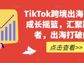 TikTok跨境出海电商人成长摇篮，汇聚跨境强者，出海打破内卷