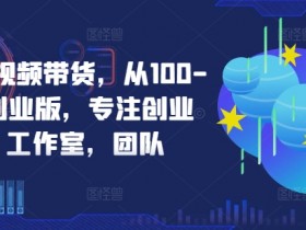 京东短视频带货，从100-1000创业版，专注创业者，工作室，团队