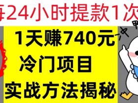 1天赚740元，24小时提款1次，冷门项目，实战方法公开【干货】