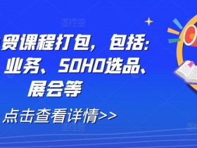 全套外贸课程打包，包括：背调、业务、SOHO选品、展会等