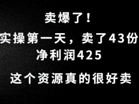 这个资源，需求很大，实操第一天卖了43份，净利润425【揭秘】