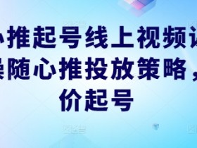 随心推起号线上视频课，实操随心推投放策略，正价起号