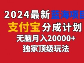 2024最新蓝海项目，支付宝分成计划，独家顶级玩法，无脑自动剪辑，