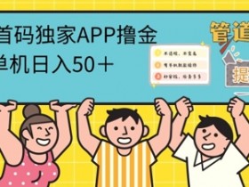 2024首码零撸聚合APP，单机日入50+，提现秒审核秒到账