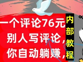 一个评论76元，别人写评论，你自动躺赚，内部教程，首次公开