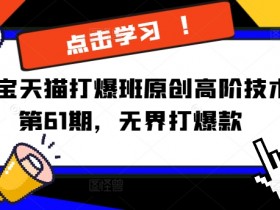 淘宝天猫打爆班原创高阶技术第61期，无界打爆款