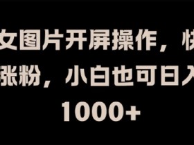 美女图片开屏操作，快速涨粉，小白也可日入1k【揭秘】