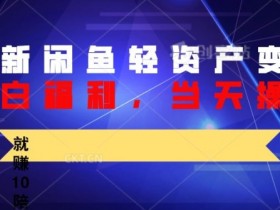 最新闲鱼轻资产变现，纯小白福利，当天操作，就赚10陪以上差价