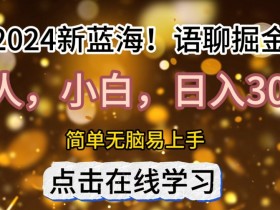 2024语聊自刷掘金新蓝海日入3张