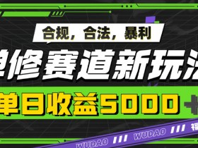 暴利禅修赛道新玩法，合规合法，单日收益5k