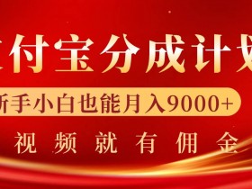 支付宝视频分成计划，一万播放200-300+，抓紧来干