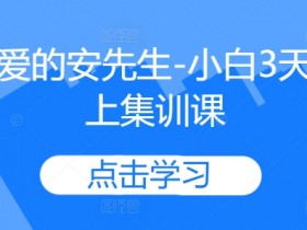 亲爱的安先生-小白3天线上集训课