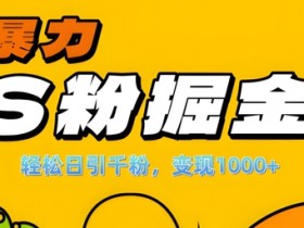 单人单机日引千粉，变现1k+，S粉流量掘金计划攻略【揭秘】