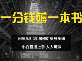 一分钱薅一本书 闲鱼9.9-19.9回收 多号多薅 小白直接上手